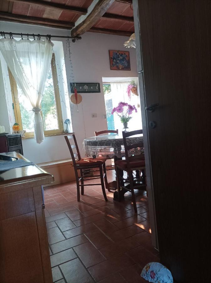 Il Mulino, Piccolo Appartamento, Immerso Nella Val Di Farma. Lama  Bagian luar foto